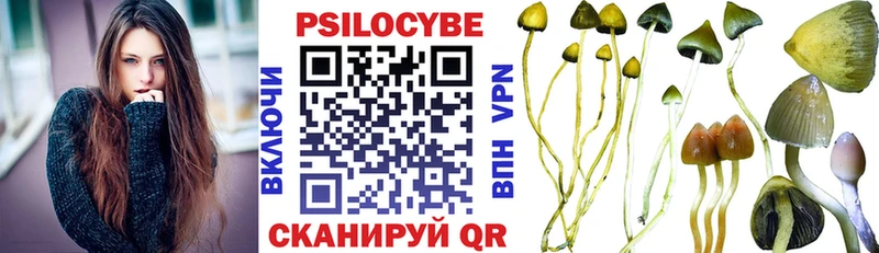 блэк спрут   Партизанск  Псилоцибиновые грибы Psilocybe 